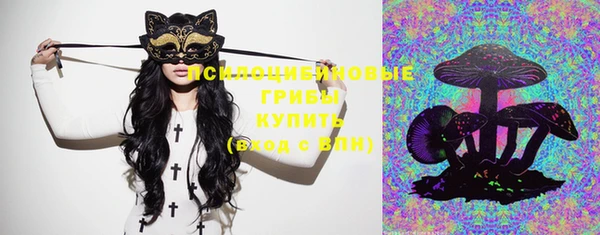 молекула духа Куйбышев