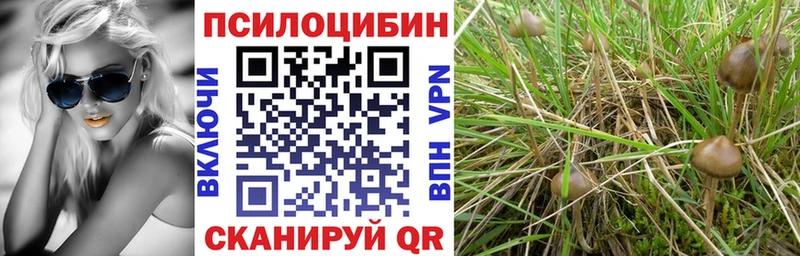 Купить Верхний Тагил Псилоцибиновые грибы GOLDEN TEACHER